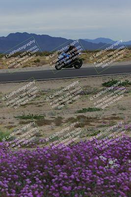 media/Jan-14-2023-SoCal Trackdays (Sat) [[497694156f]]/Turn 14 Exit Bloomig (145pm)/